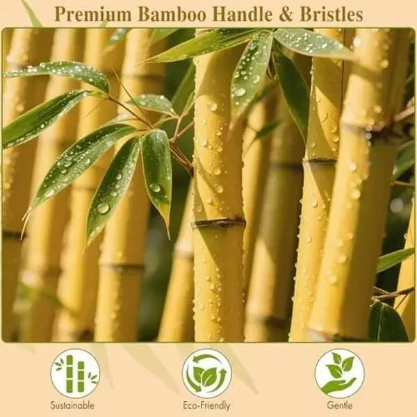 Bamboo Hair Bursh
